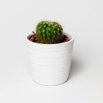 Small Office Decoration Ideas